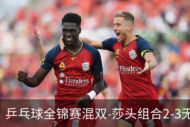乒乓球全锦赛混双-莎头组合2-3无缘决赛 动漫组合3-0晋级