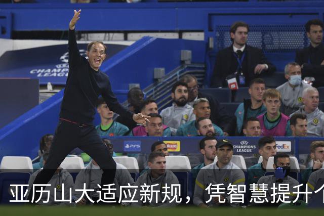 亚历山大适应新规，凭智慧提升个人表现