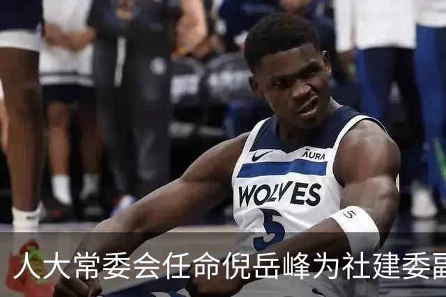 人大常委会任命倪岳峰为社建委副主任