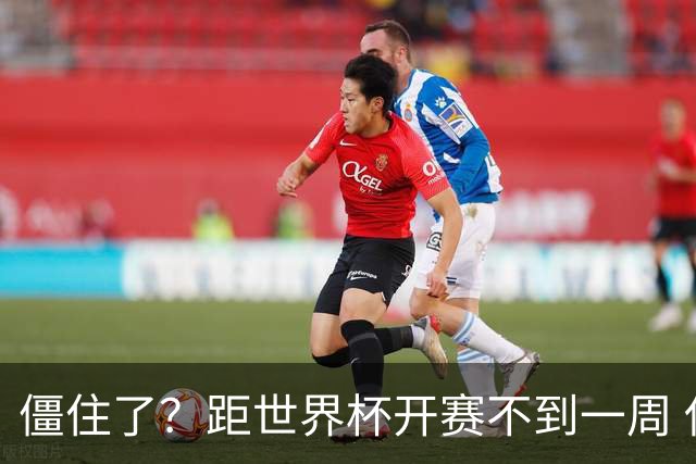 僵住了？距世界杯开赛不到一周 伊朗队仍未获得美国签证