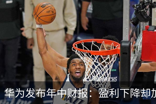 华为发布年中财报：盈利下降却加大研发投入