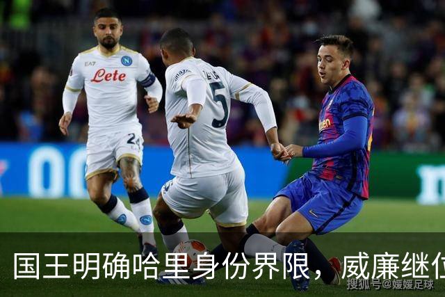 国王明确哈里身份界限，威廉继位风险减少