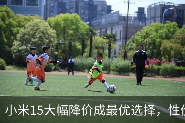 小米15大幅降价成最优选择，性价比超小米17系列