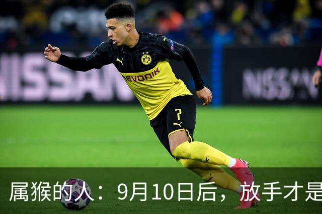 属猴的人：9月10日后，放手才是新开始