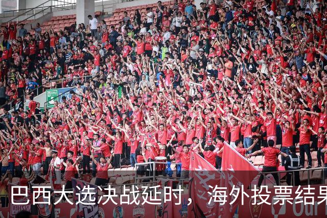 巴西大选决战延时，海外投票结果初显