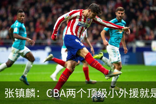 张镇麟：CBA两个顶级小外援就是古德温和布朗 只能尽量限制他们