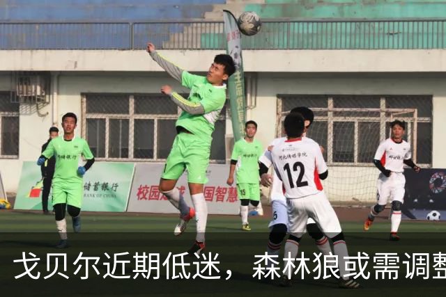 戈贝尔近期低迷，森林狼或需调整其上场时间
