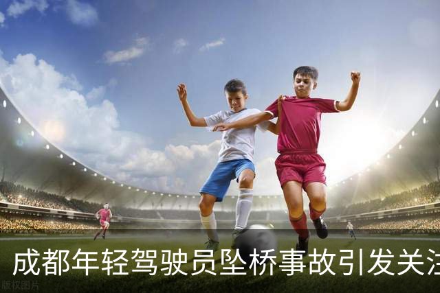 成都年轻驾驶员坠桥事故引发关注，安全隐患逐渐显现