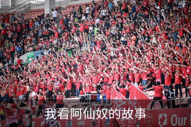 我看阿仙奴的故事