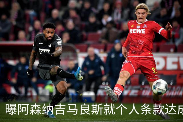 曝阿森纳吉马良斯就个人条款达成一致 纽卡接触葡超中场