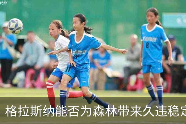 格拉斯纳能否为森林带来久违稳定？