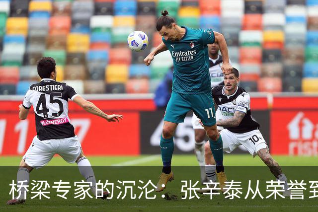 桥梁专家的沉沦：张辛泰从荣誉到落马