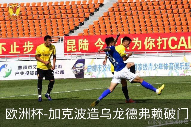 欧洲杯-加克波造乌龙德弗赖破门 荷兰2-1土耳其