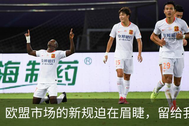 欧盟市场的新规迫在眉睫，留给我们16个月调整期