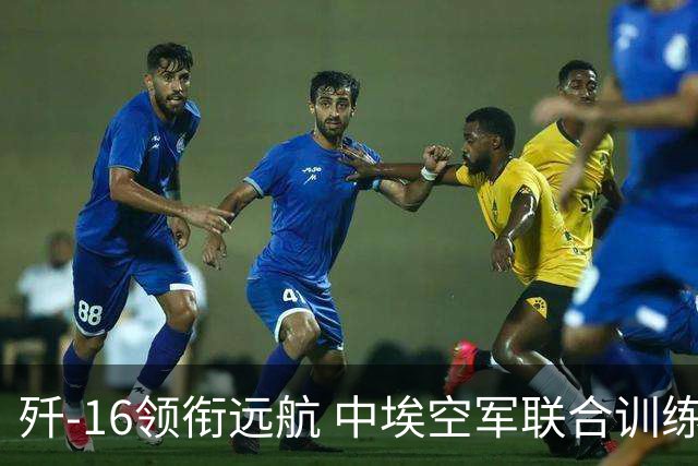 歼-16领衔远航 中埃空军联合训练看点