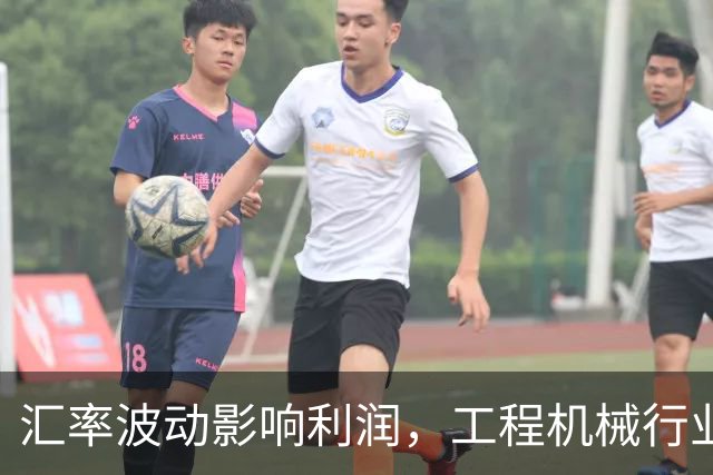 汇率波动影响利润，工程机械行业分化加剧，盈利拐点或将到来
