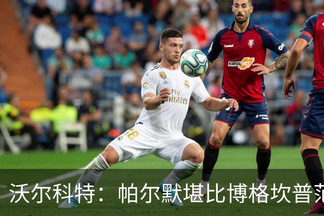 沃尔科特：帕尔默堪比博格坎普范佩西