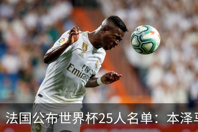 法国公布世界杯25人名单：本泽马姆巴佩领衔
