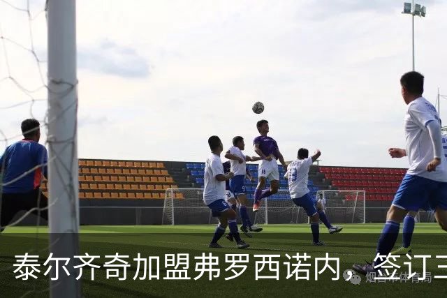 泰尔齐奇加盟弗罗西诺内，签订三年合同