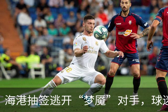 海港抽签逃开“梦魇”对手，球迷盼亚冠复仇成功