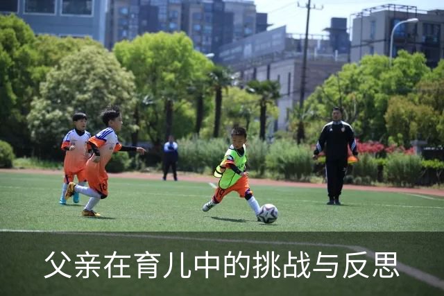 父亲在育儿中的挑战与反思
