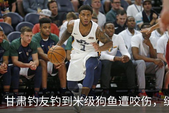 甘肃钓友钓到米级狗鱼遭咬伤，缝针后感叹不已