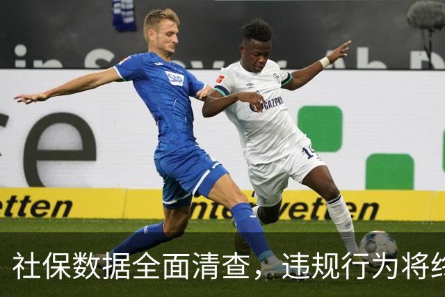 社保数据全面清查，违规行为将终身追溯