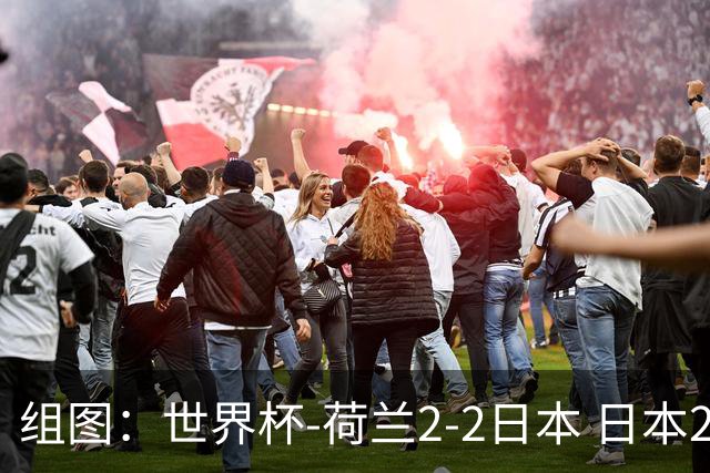 组图：世界杯-荷兰2-2日本 日本2度落后2度扳平
