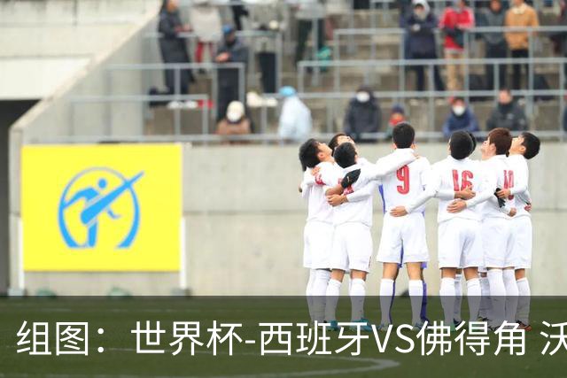组图：世界杯-西班牙VS佛得角 沃津哈屡现神扑