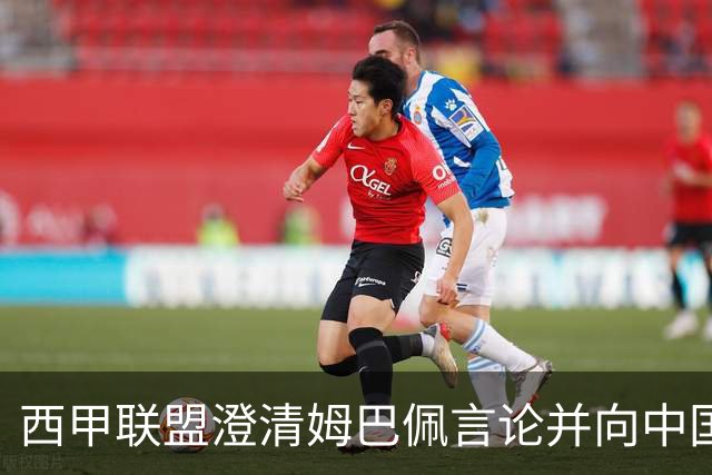 西甲联盟澄清姆巴佩言论并向中国球迷致歉