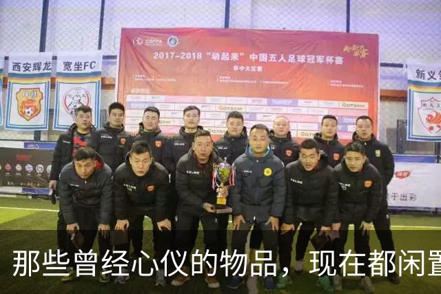 那些曾经心仪的物品，现在都闲置了吗？
