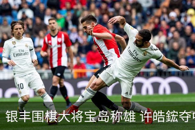 银丰围棋大将宝岛称雄 许皓鋐夺中国台湾名人赛冠军