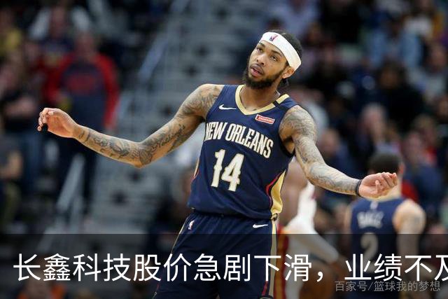长鑫科技股价急剧下滑，业绩不及预期