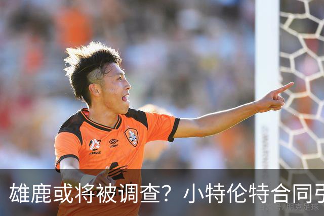 雄鹿或将被调查？小特伦特合同引发关注
