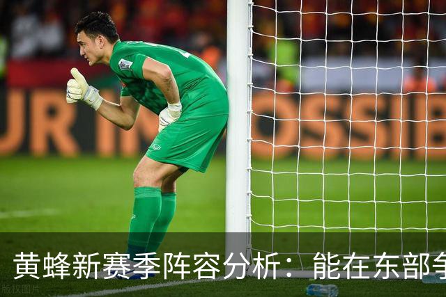 黄蜂新赛季阵容分析：能在东部争夺高种子位置吗？