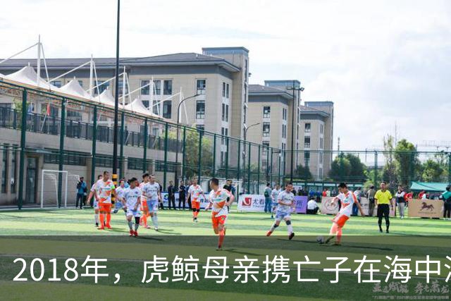 2018年，虎鲸母亲携亡子在海中漂流17天超1600公里