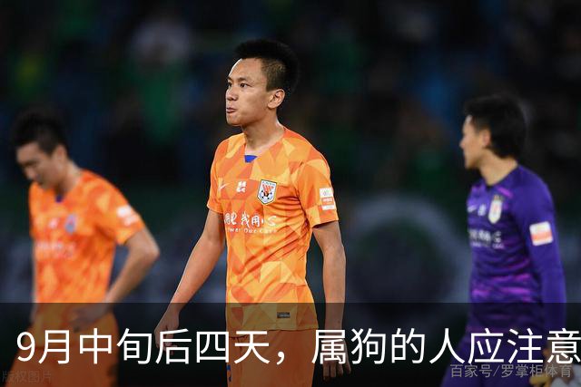 9月中旬后四天，属狗的人应注意的五个事项