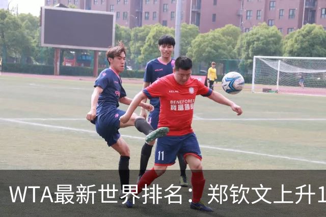 WTA最新世界排名：郑钦文上升12位排名第123 王欣瑜第39